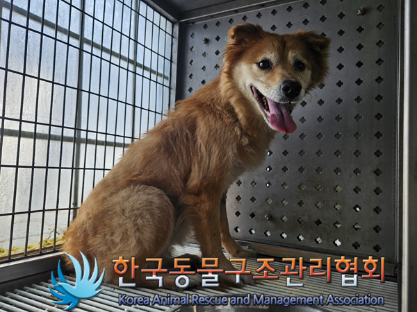 한국동물구조관리협회_411307202400639